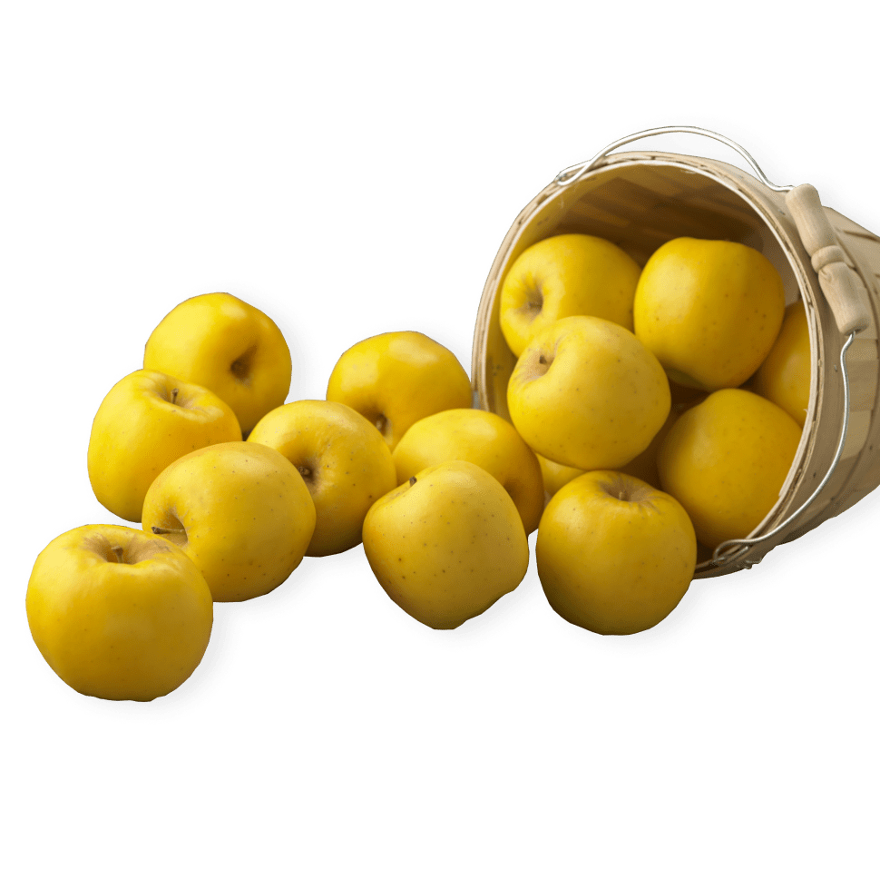 Our Retailers - Where to Buy Yellow Opal Apples
